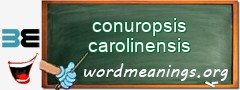 WordMeaning blackboard for conuropsis carolinensis